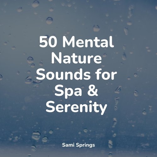 Forest, Morning, Birds, Bugs cover art