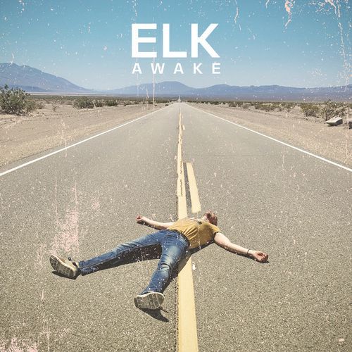 Type-approved Mouth cover art