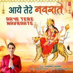 Aaye Tere Navraate