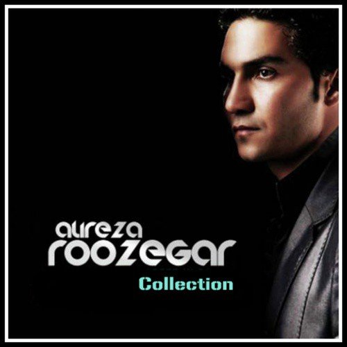 Alireza Roozegar Collection
