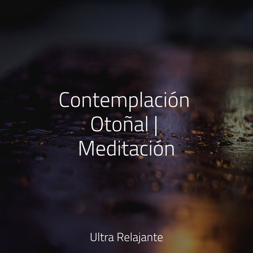 Contemplación Otoñal | Meditación_poster_image