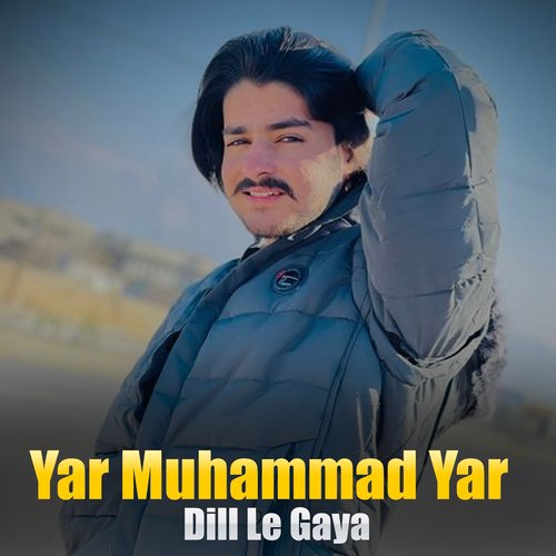 Dill Le Gaya