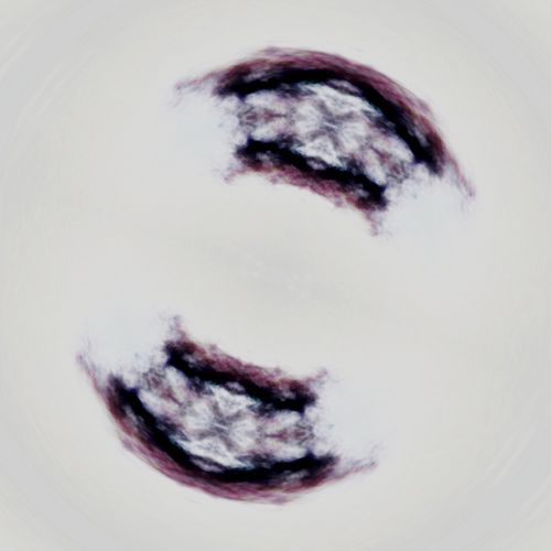 Fragments In The Dark