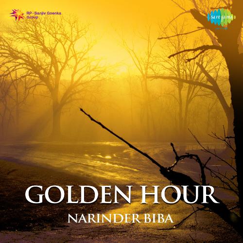 Golden Hour Narinder Biba