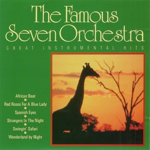 The Famous Seven Orchestra