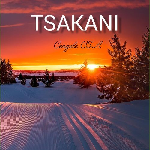 Hi Lava Wena (feat. Careless)