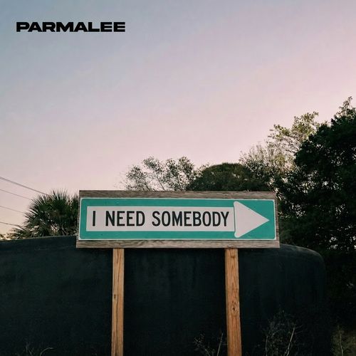 I Need Somebody