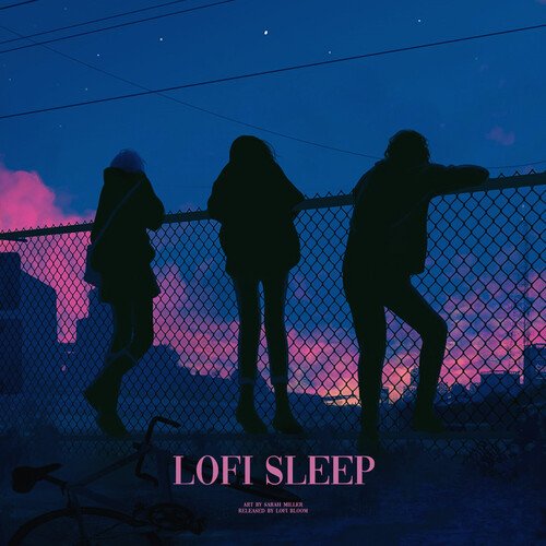 Lofi Sleep_poster_image