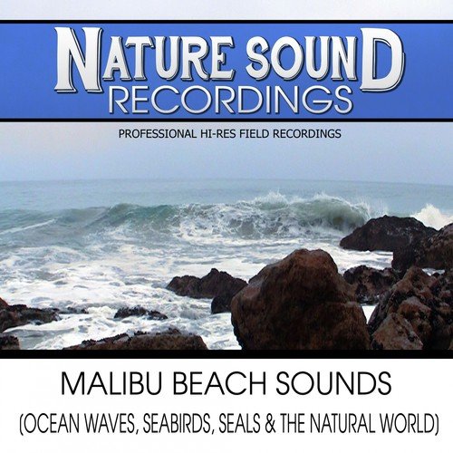 Malibu Beach Sounds (Ocean Waves, Seabirds, Seals & The Natural World)