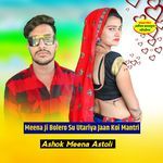 Meena Ji Bolero Su Utariya Jaan Koi Mantri