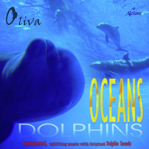 Oceans Dolphins