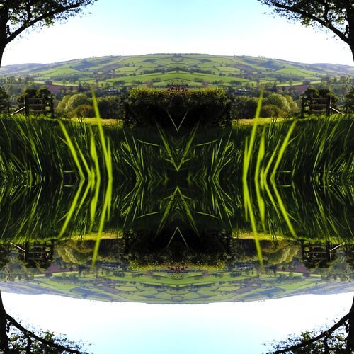 Culm cover art