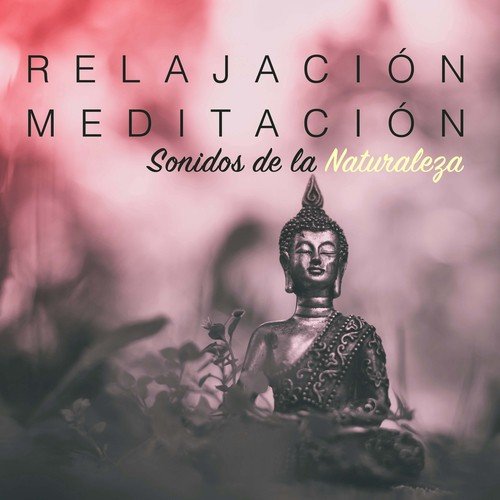 Relajación y Meditación: Sonidos de la Naturaleza & Dulces Sueños con Música Relajante para Sanar el Alma
