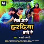 Roj Mare Haradiya Chhape Re