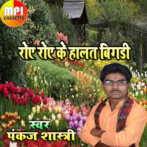 Roy Roy Ke Halat Bagadi