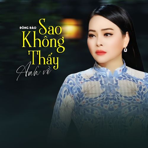Sao Không Thấy Anh Về (feat. Nguyễn Thành Viên) cover art