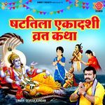 Shattila Ekadashi Vrat Katha artwork