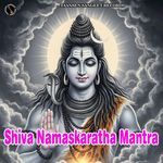 Shiva Namaskaratha Mantra