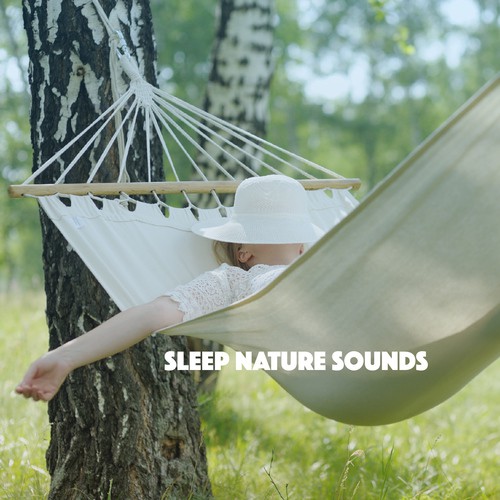 Sleep Nature Sounds