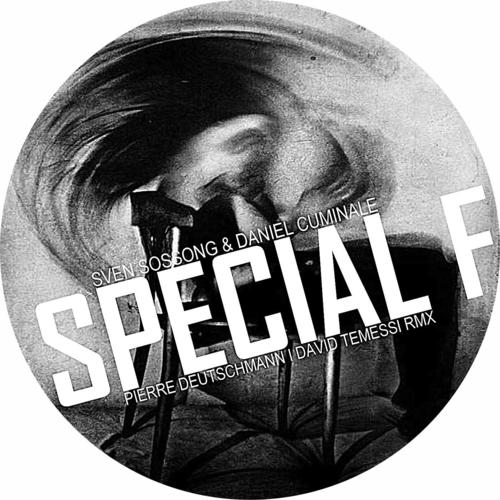 Special F (Original Mix)
