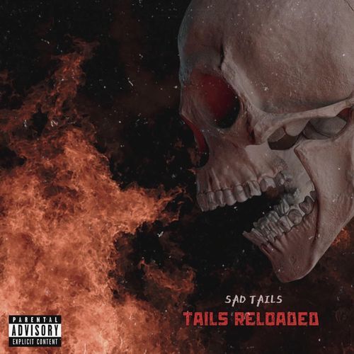 Tails Reborn cover art