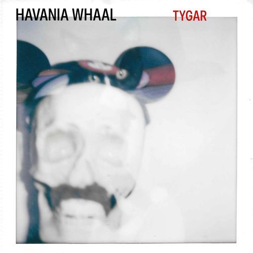Tygar cover art
