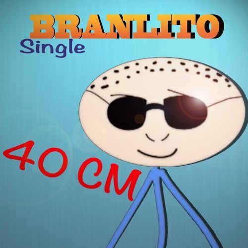 40 cm cover art