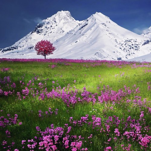 Ambient Textures cover art