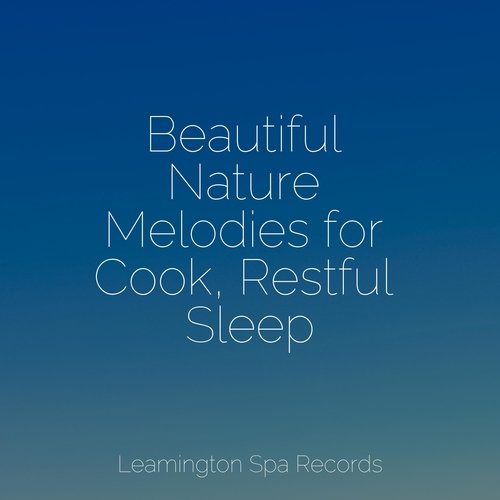 Ambient Soundscape for Sleep cover art