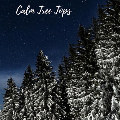 Calm Tree Tops