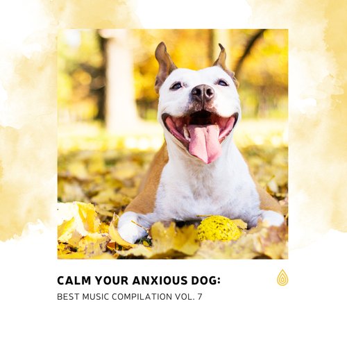 Calm Your Anxious Dog: Best Music Compilation Vol. 7