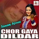 Dil lagane Ki Hum Ko Mili Hai Saza artwork