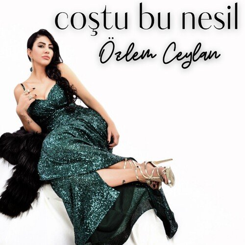 Coştu Bu Nesil_poster_image