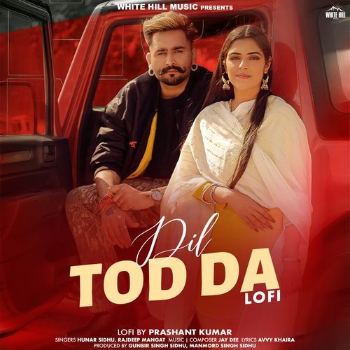 Dil Tod Da Lofi