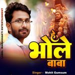 HE BHOLE BABA