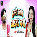 Hamro Balam Aaiba Kari