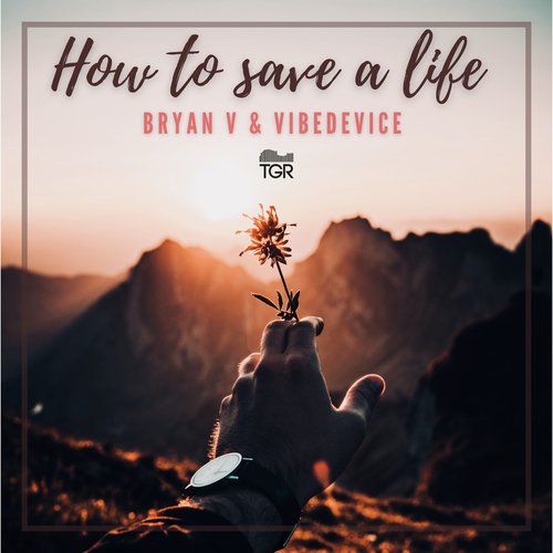 How to Save a Life_poster_image