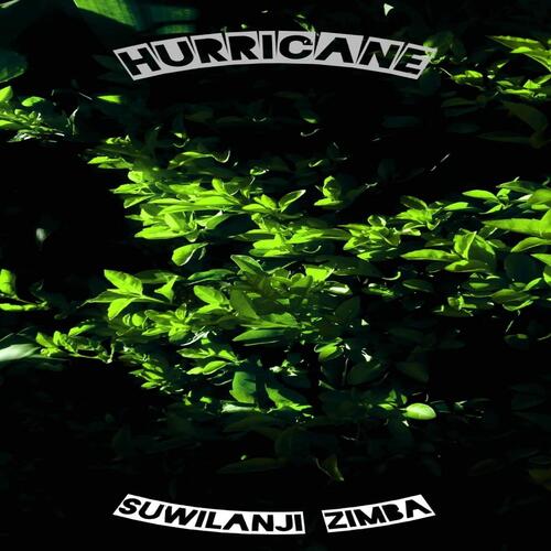 Synthetic cover art