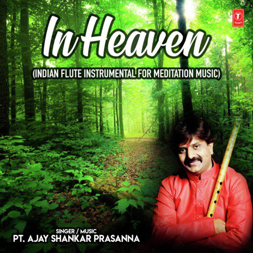 In Heaven (Indian Flute Instrumental For Meditaton Music)_poster_image