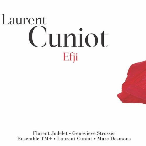 Laurent Cuniot - Efji_poster_image