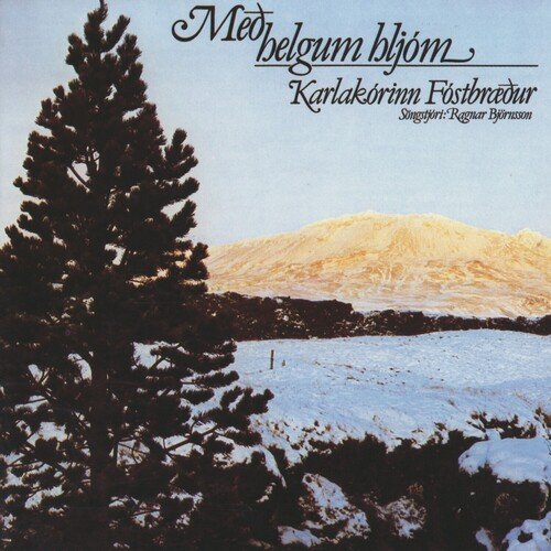 Nóttin var sú ágæt ein