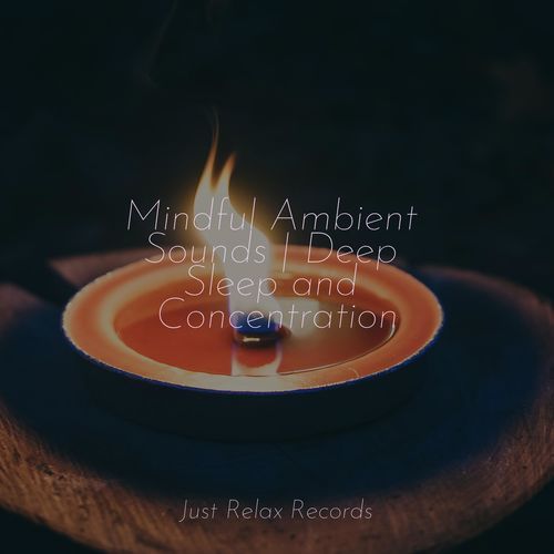 Mindful Ambient Sounds | Deep Sleep and Concentration