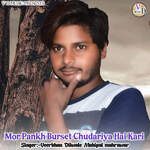 Mor Pankh Burset Chudariya Hai Kari