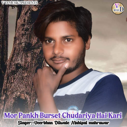 Mor Pankh Burset Chudariya Hai Kari