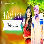 Mui Tor Diwana