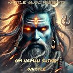 Om Namah Shivay