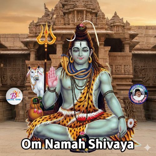 Om Namah Shivaya