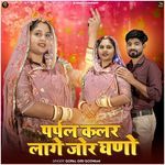 Purple Color Lage Jor Ghano