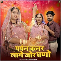 Purple Color Lage Jor Ghano