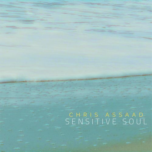 Sensitive Soul cover art